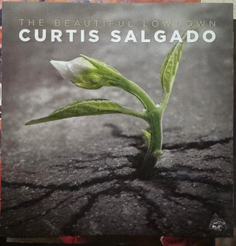 Curtis Salgado - The Beautiful Lowdown (CD)