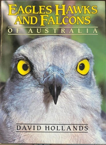 David Hollands - Eagles, Hawks & Falcons Of Australia (Hardcover)