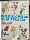 Thistle Harris / Adam Forster (Illustrator) - Wild Flowers Of Australia (7th Revised Edn) (Hardcover)