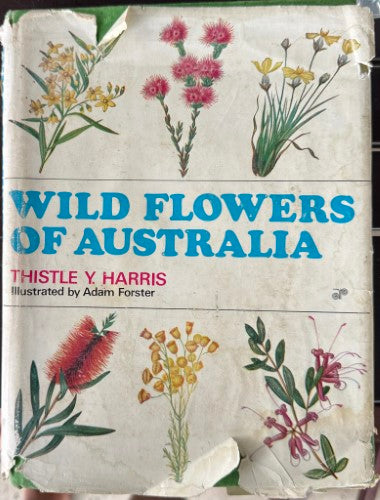 Thistle Harris / Adam Forster (Illustrator) - Wild Flowers Of Australia (7th Revised Edn) (Hardcover)