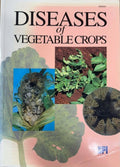 Denis Persley - Diseases Of Vegetable Crops