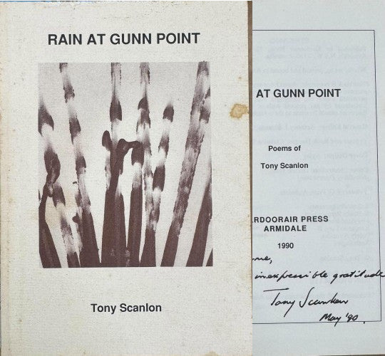 Tony Scanlon - Rain At Gunn Point