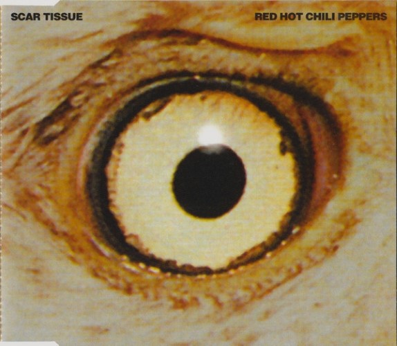 Red Hot Chili Peppers - Scar Tissue (CD)