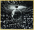 Neil Young - Mirrorball (CD)