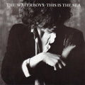 The Waterboys - This Is The Sea (CD)
