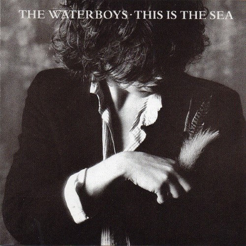 The Waterboys - This Is The Sea (CD)