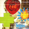 Compilation - Red Hot + Blue (CD)