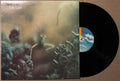 Steely Dan - Katy Lied (Vinyl LP)