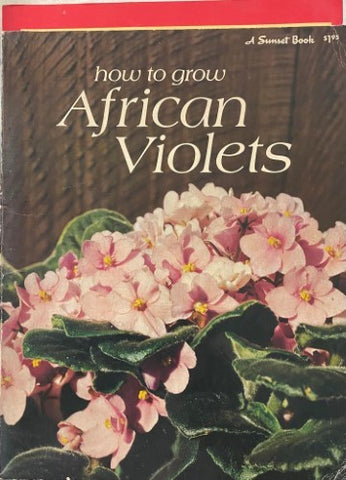 How To Grow African Violets