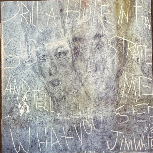 Jim White - Drill A Hole In That Substrate And Tell Me What You See (CD)