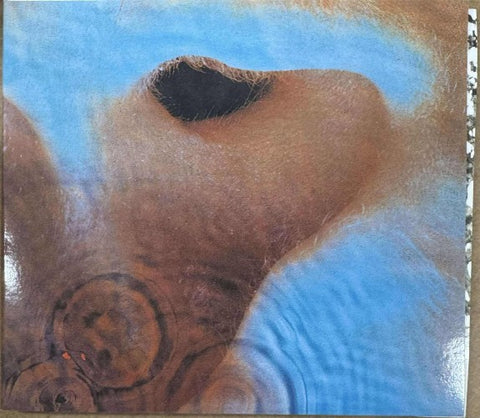 Pink Floyd - Meddle (CD)