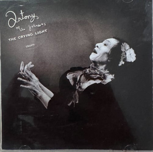 Antony And The Johnsons - The Crying Light (CD)