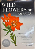 H. Rickett / Mary Vaux Walcott - Wild Flowers Of America (Hardcover)