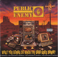 Public Enemy - What You Gonna Do When The Grid Goes Down (CD)