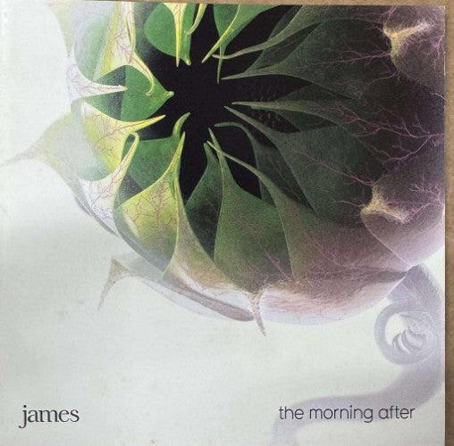 James - The Morning After (CD)