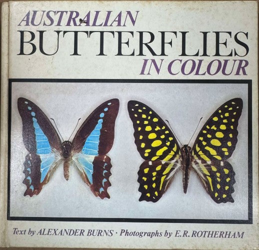 Alexander Burns / E.R Rotherham - Australian Butterflies (Hardcover)