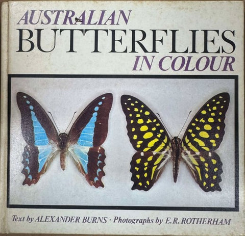 Alexander Burns / E.R Rotherham - Australian Butterflies (Hardcover)