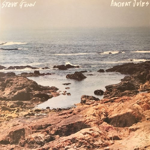 Steve Gunn - Ancient Jules (Vinyl LP)