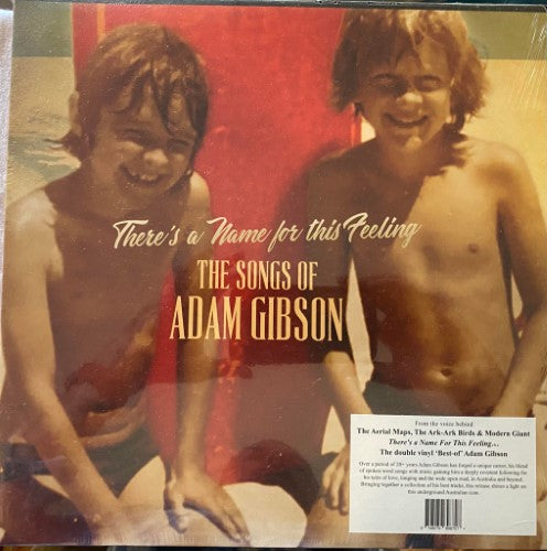 Adam Gibson - There's A Name For This Feeling (Vinyl LP)
