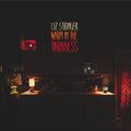Liz Stringer - Warm In The Darkness (CD)