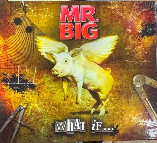 Mr Big - What If …. (w/ DVD) (CD)