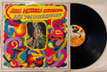 The Jimi Hendrix Experience - Are You Experienced (Vinyl LP)