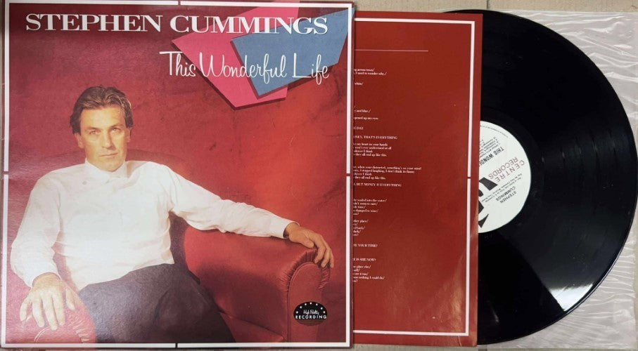 Stephen Cummings - This Wonderful Life (Vinyl LP)
