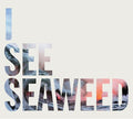 The Drones - I See Seaweed (CD)