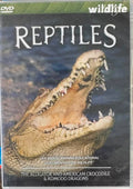 Reptiles - The Alligator & American Crocodile & Komodo Dragons