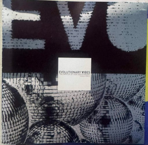 Compilation - Evolutionary Vibes Volume 5 - The Winter Of Our Discotheque (CD)