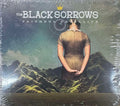 The Black Sorrows - Faithful Satellite (CD)
