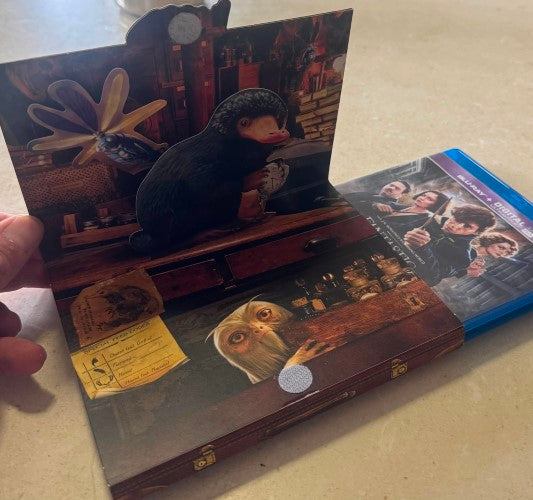 Fantastic Beasts & Where To Find Them (w/ Digital UV) (Blu-Ray)
