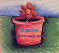 Frente! - Accidently Kelly Street (CD)