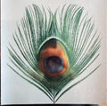 XTC - Apple Venus Vol 1 (CD)
