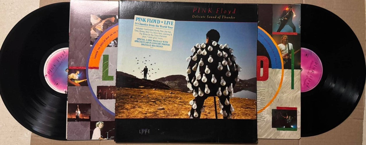 Pink Floyd - Delicate Sound Of Thunder (Vinyl LP)