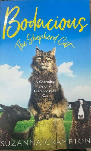 Suzanna Crampton - Bodacious The Shepherd Cat