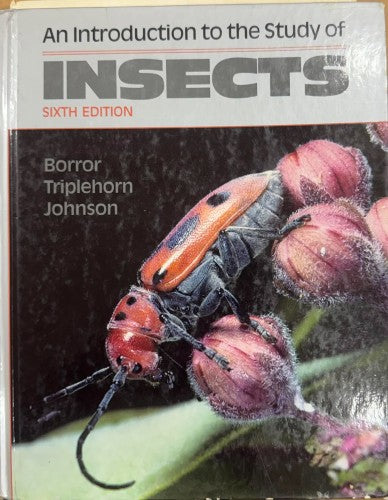 Donald Borror / Charles Triplehorn / Norman Johnson - An Introduction To The Study Of Insects (6th Edn) (Hardcover)