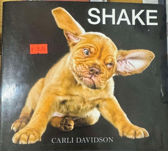 Carliu Davidson - Shake