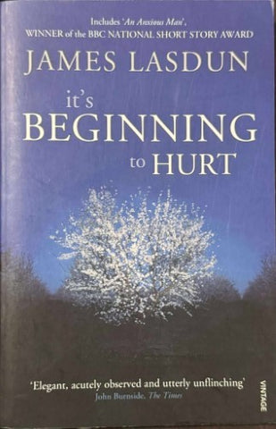 James Lasdun - It's Beginning To Hurt