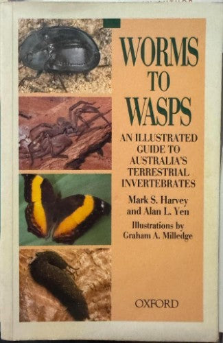 Mark Harvey / Alan Yen - Worms To Wasps : An Illustrated Guide To Australia's Invertebrates
