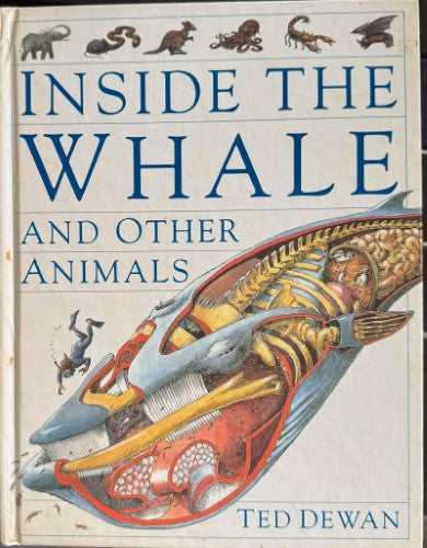Ted Dewan - Inside The Whale (& Other Animals) (Hardcover)