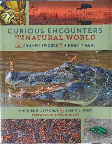 Michael Jeffords / Susan Post - Curious Encounters With The Natural World