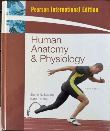 Elaine Marieb / Katja Hoehn - Human Anatomy & Physiology (Eighth Edn) (Hardcover)