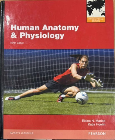 Elaine Marieb / Katja Hoehn - Human Anatomy & Physiology (Hardcover)