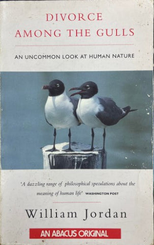 William Jordan - Divorce Among The Gulls : An Uncommon Look At Human Nature