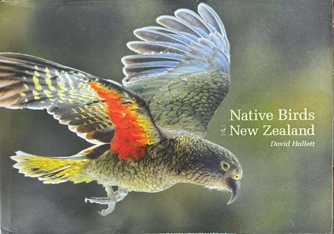 David Hallett - Native Birds Of New Zealand (Hardcover)