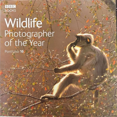 Wildlife Photographer Of The Year : Portfolio 16 (2006) (Hardcover)