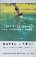 David Gates - The Wonders Of The Invisible World