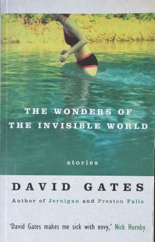 David Gates - The Wonders Of The Invisible World