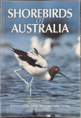 Peter Hayman / John Marchant - Shorebirds : An Identification Guide (Hardcover)